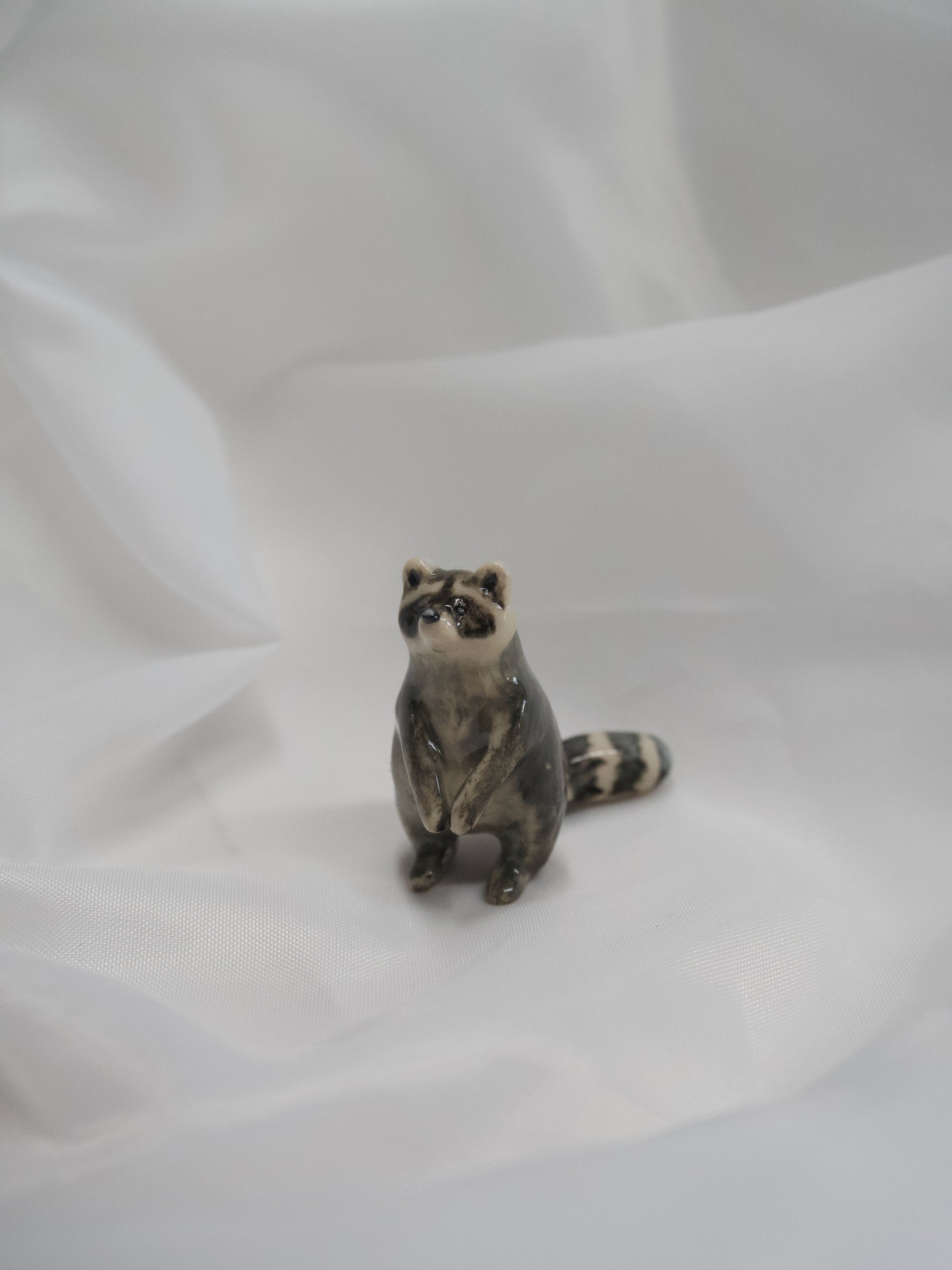 Raccoon Standing Totem