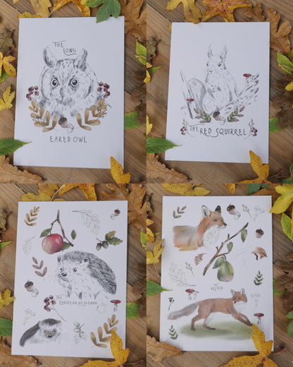 Autumnal 5x7 set of 4 prints