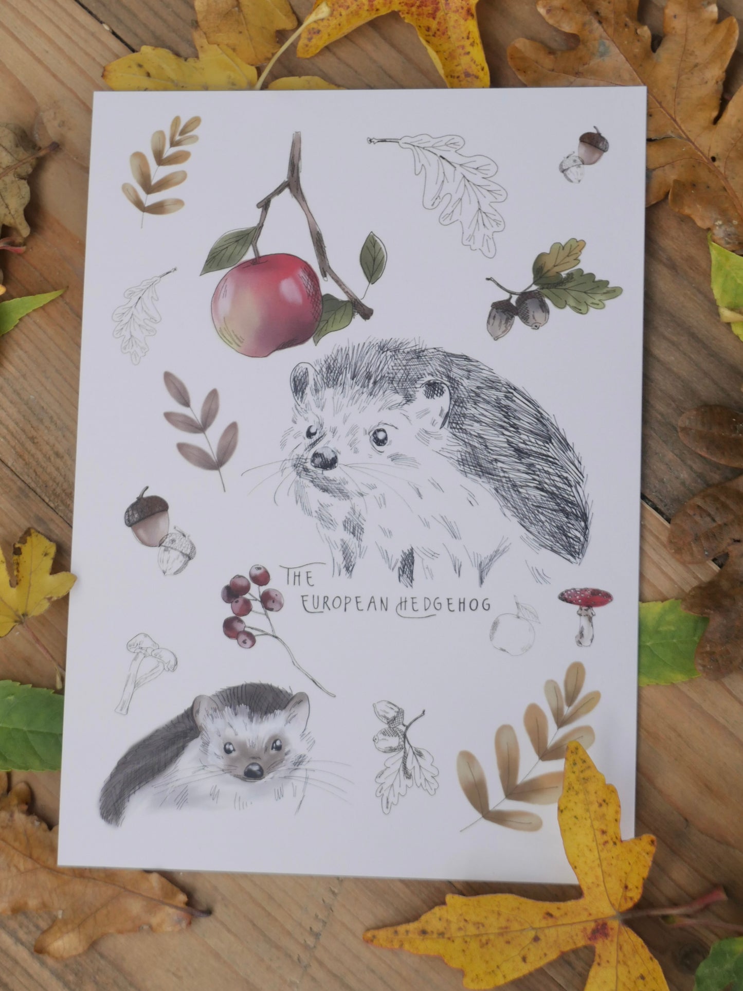 Autumnal 5x7 set of 4 prints