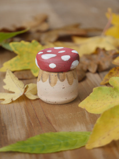 Tiny Mushroom Pot