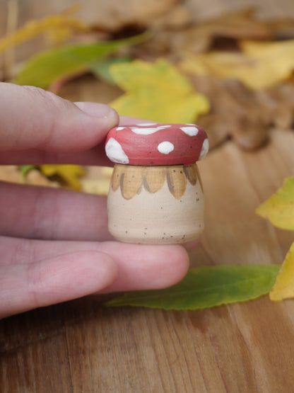 Tiny Mushroom Pot