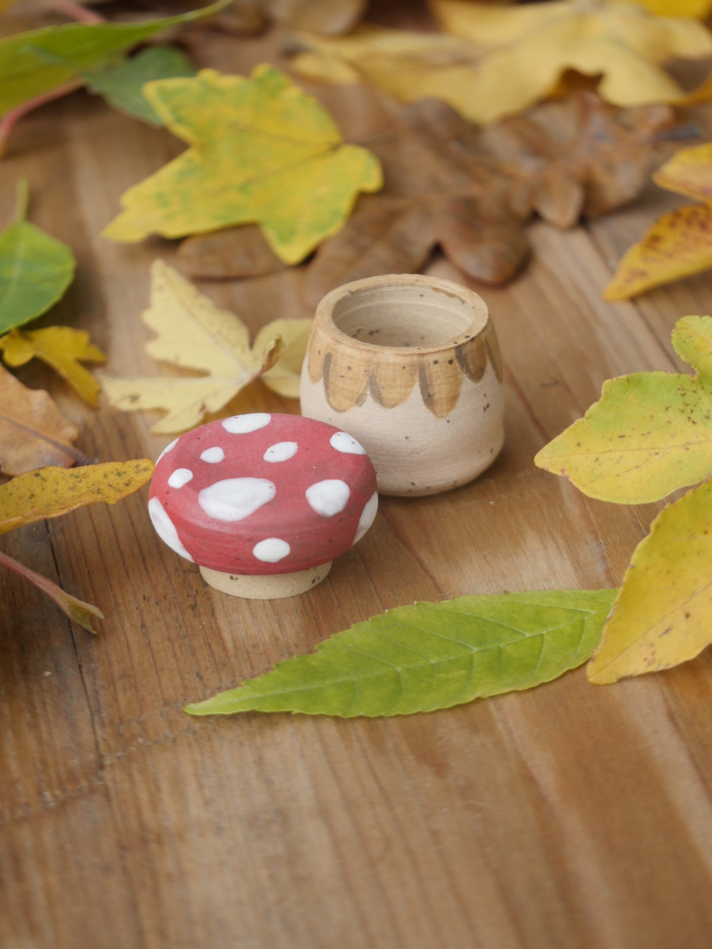 Tiny Mushroom Pot