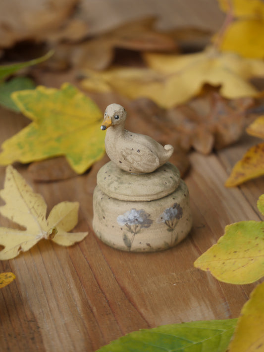 Tiny Duck Pot