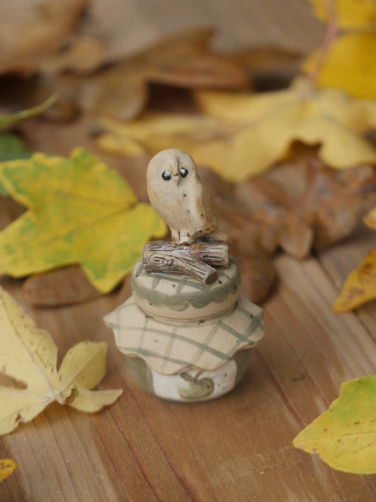 Tiny Jam Owl Pot