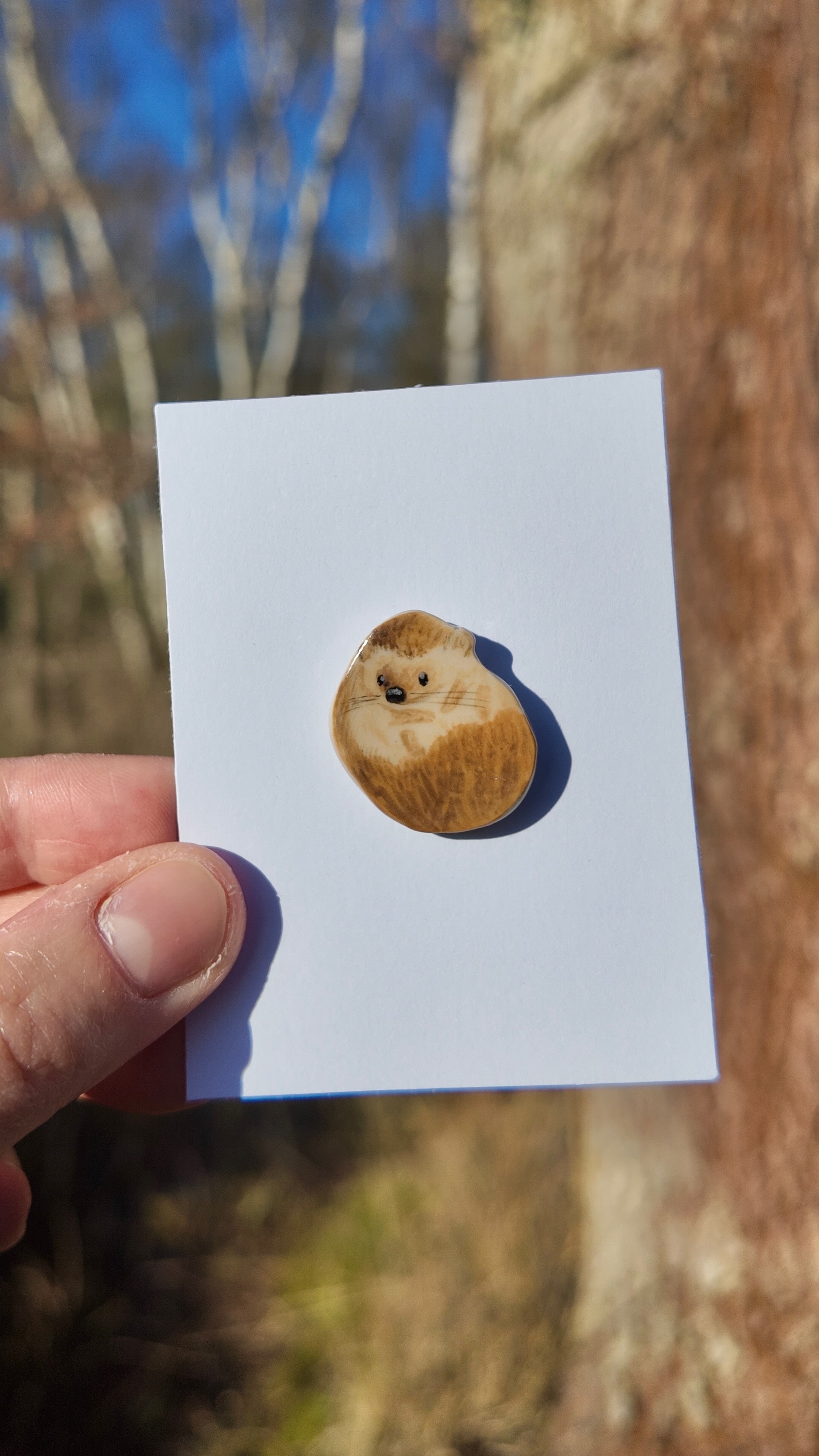 Hedgehog Pin