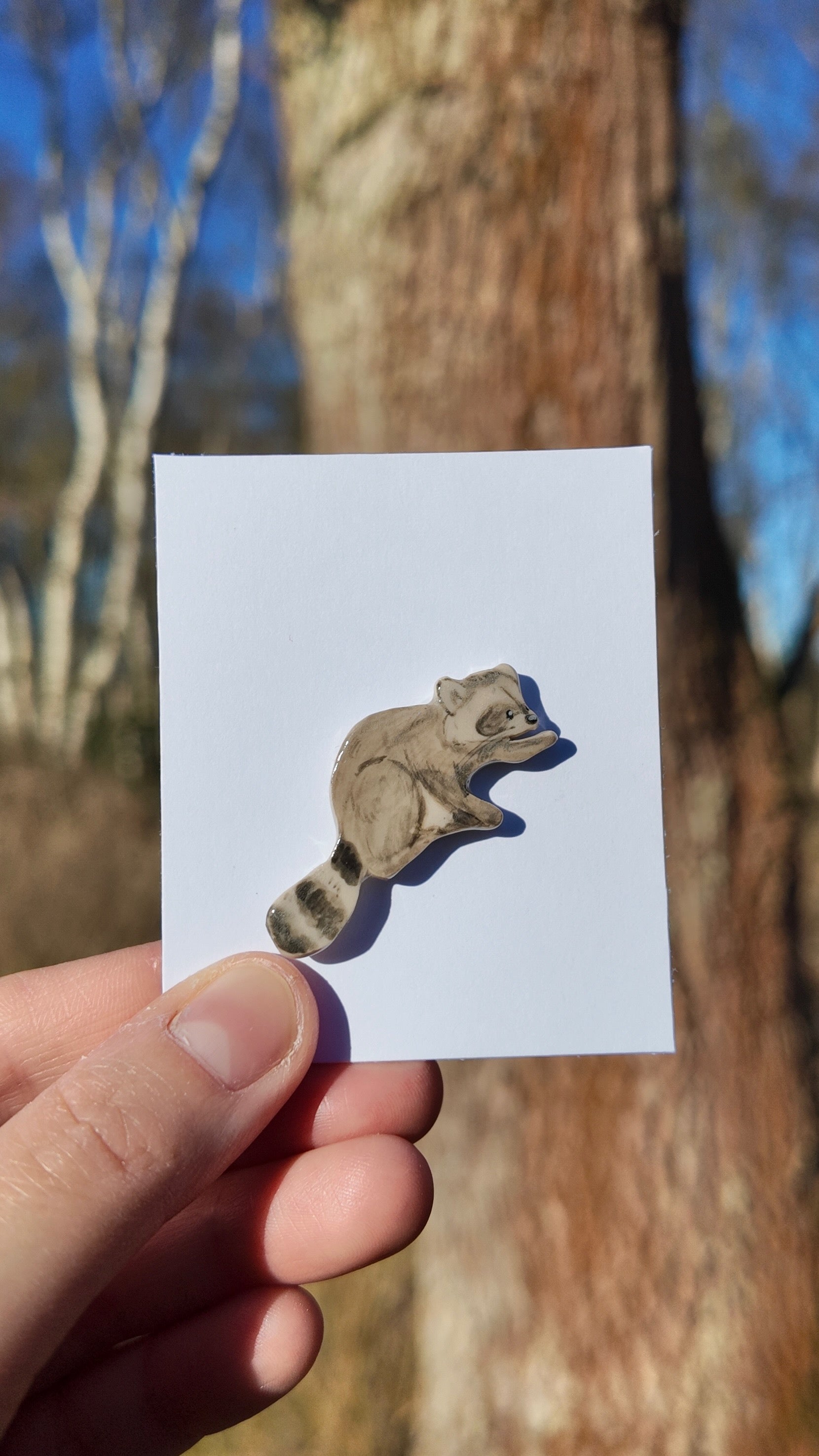 Raccoon Pin