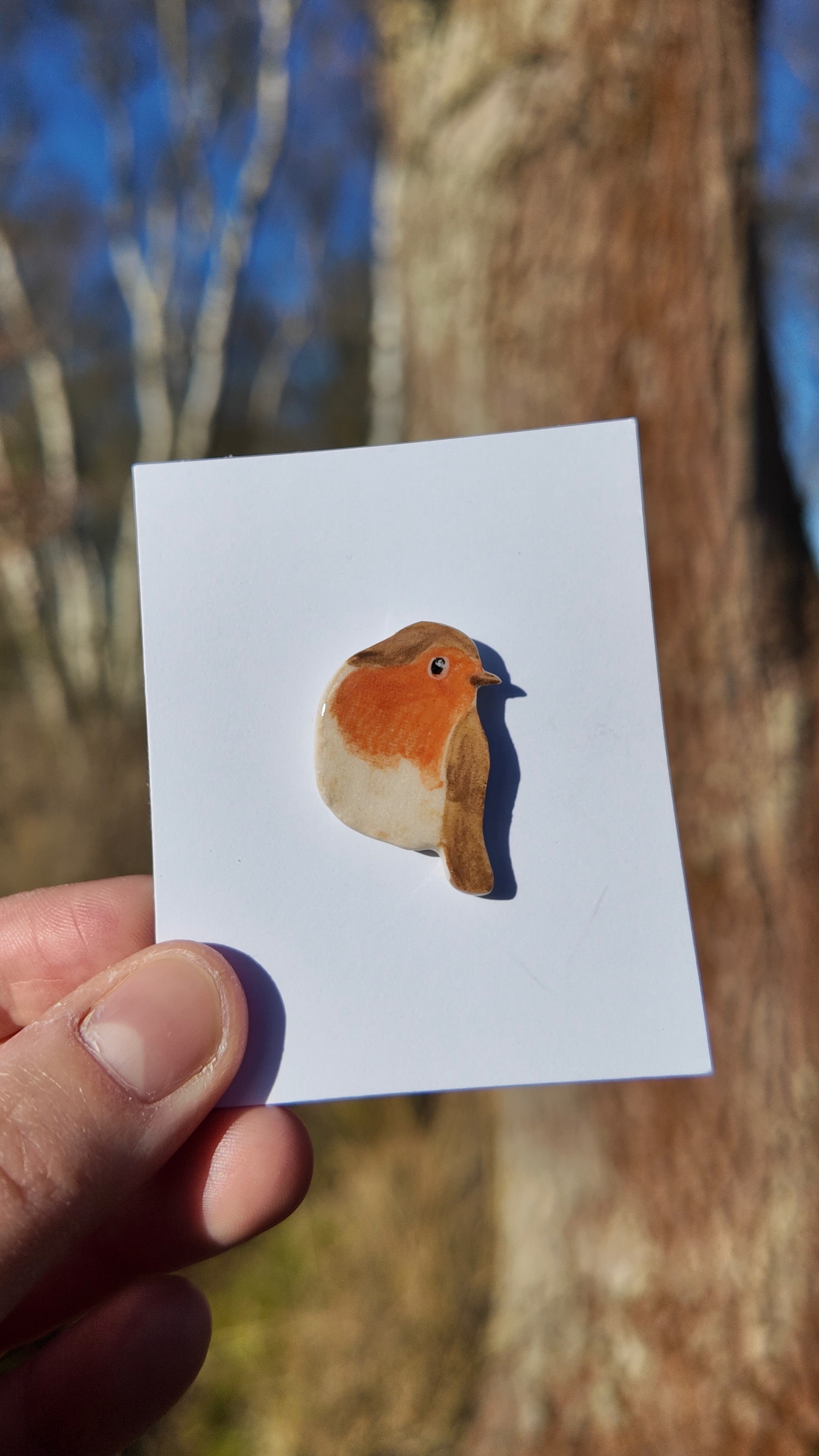 Robin Pin